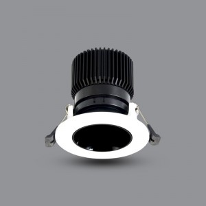 ĐÈN LED ÂM TRẦN CHIẾU ĐIỂM PARAGON CRDB90L12