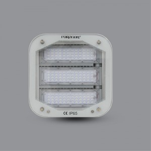 ĐÈN LED PHA CANOPY PARAGON PUCG12065L