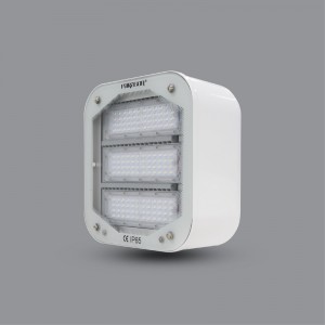 ĐÈN LED PHA CANOPY PARAGON PUCG12065L