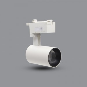 ĐÈN LED PHA TIÊU ĐIỂM PARAGON PSLTT20L