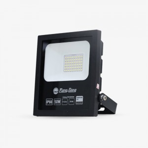 Đèn LED Chiếu pha CP06 Rạng Đông