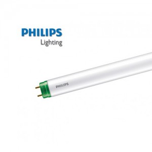 Đèn Led Tuýp Essential 8W T8 600mm AP I Philips