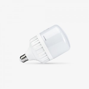 Bóng LED Bulb TR100N1 Rạng Đông