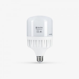 Bóng LED Bulb TR100N1 Rạng Đông