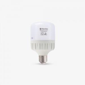 Bóng LED Bulb TR80N1 Rạng Đông